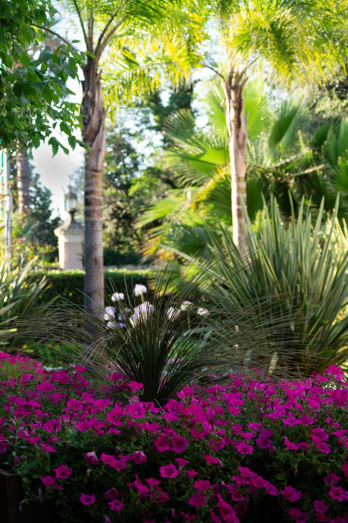 Park Hotel Giusy Lido di Camaiore Exterior foto
